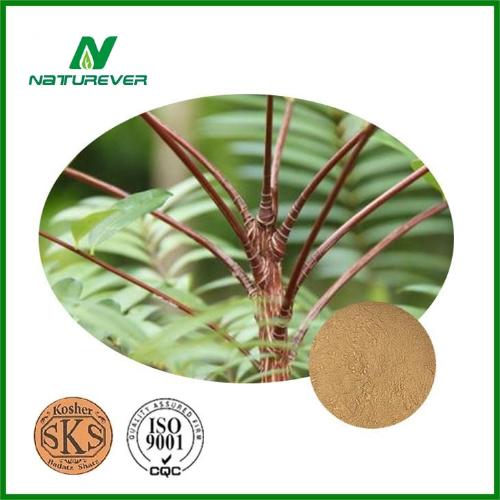 Tongkat Ali Extract Supplement