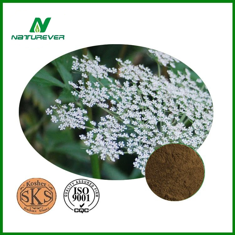 Angelica Sinensis Extract