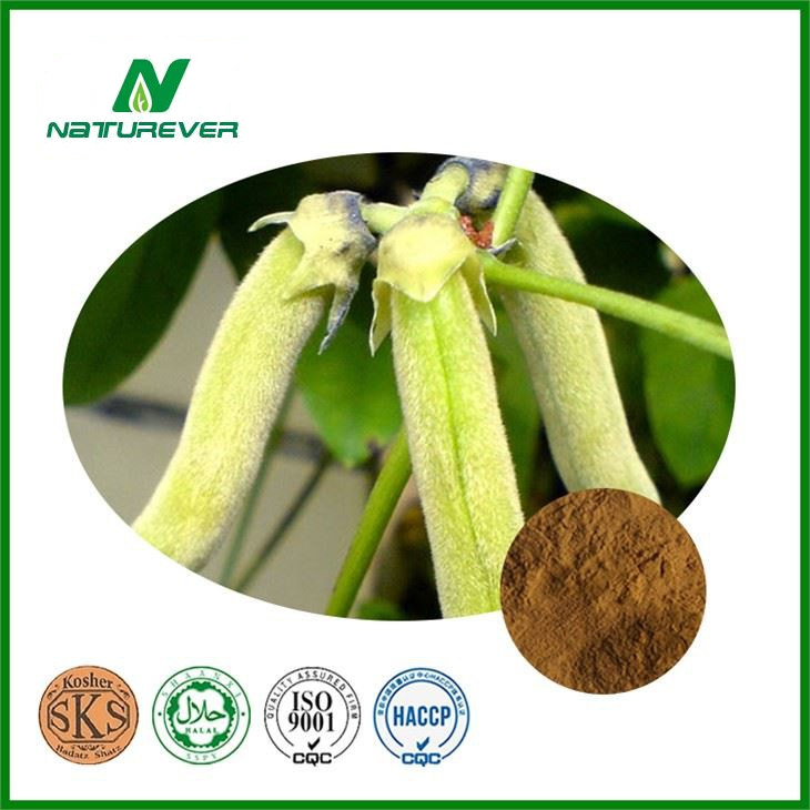Mucuna Pruriens Extract Powder