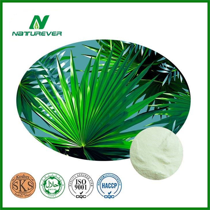 Saw Palmetto Extract Powder