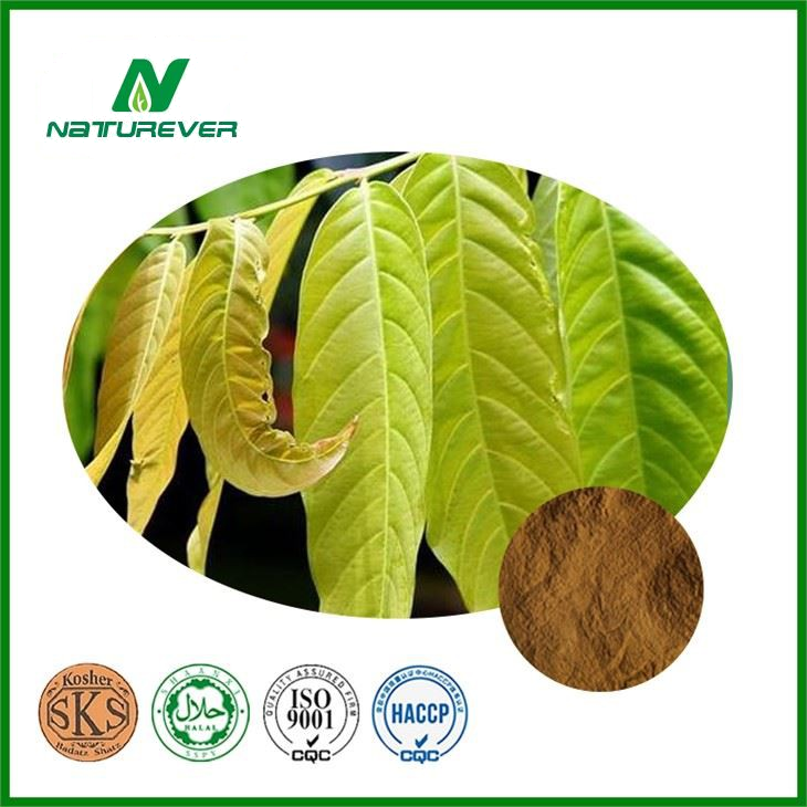 Mango Leaf Supplement