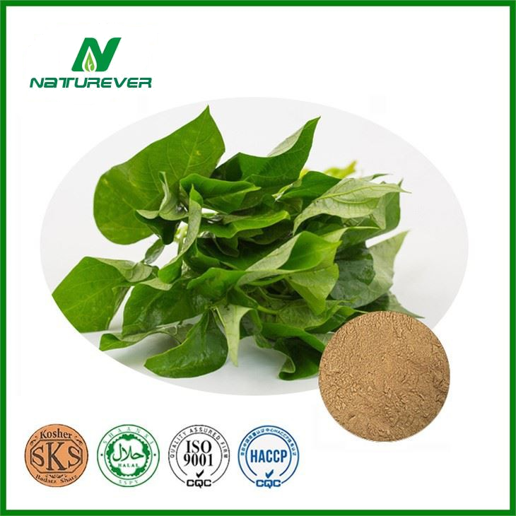 Sweet Potato Leaf Extract