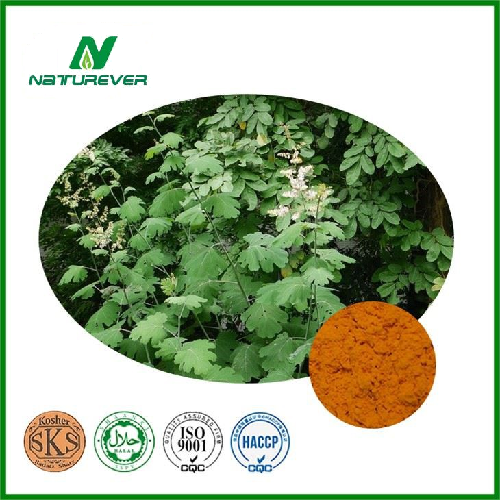 Macleaya Cordata Extract