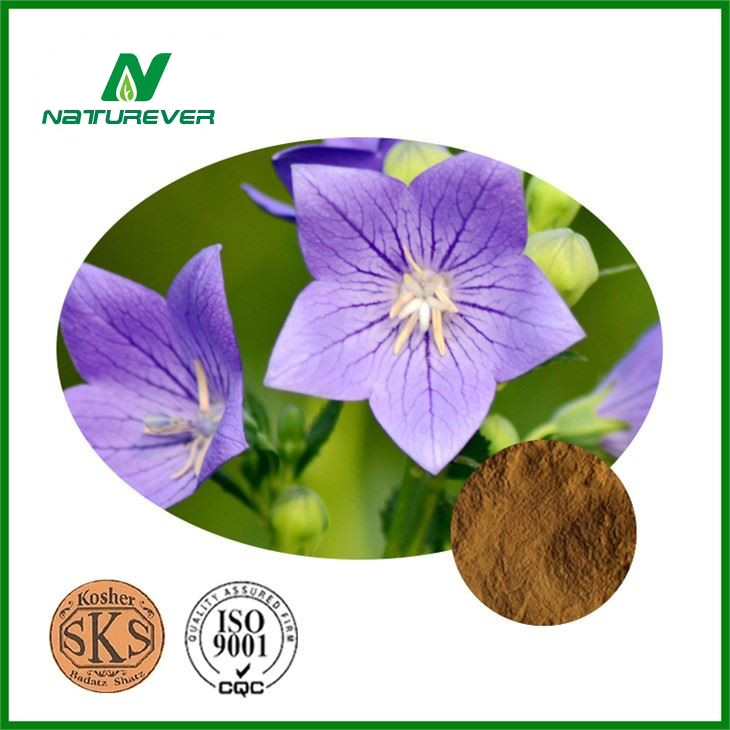 Balloonflower Root Extract