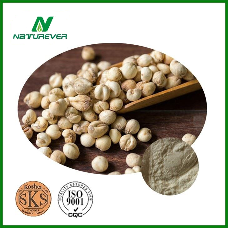 Sichuan Fritillary Bulb Powder