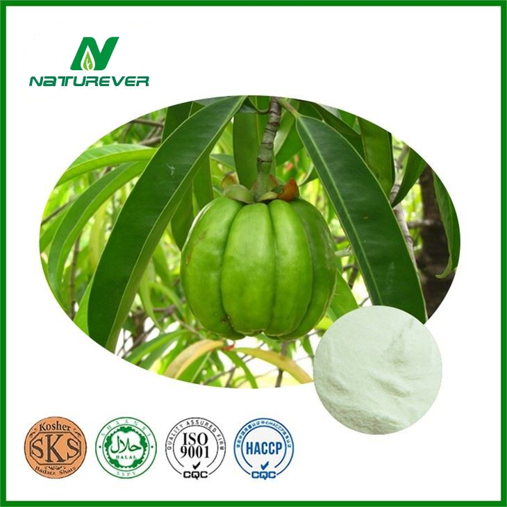 Garcinia Cambogia Extract Powder