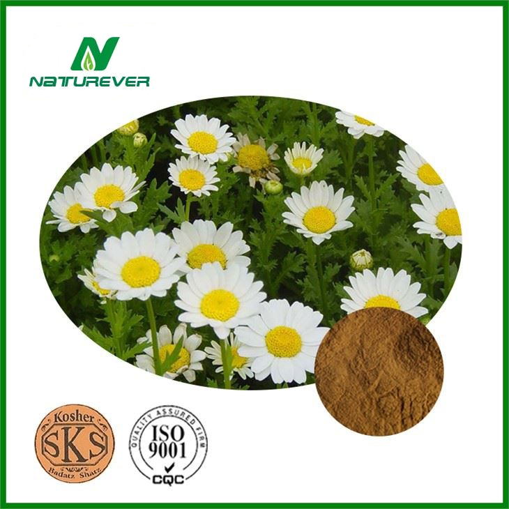 Feverfew Extract Powder