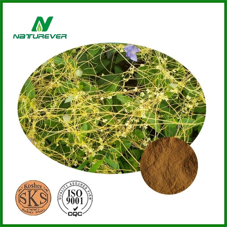 Cuscuta Chinesis Seed Extract