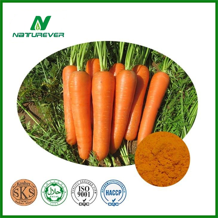 Carrot Extract Powder