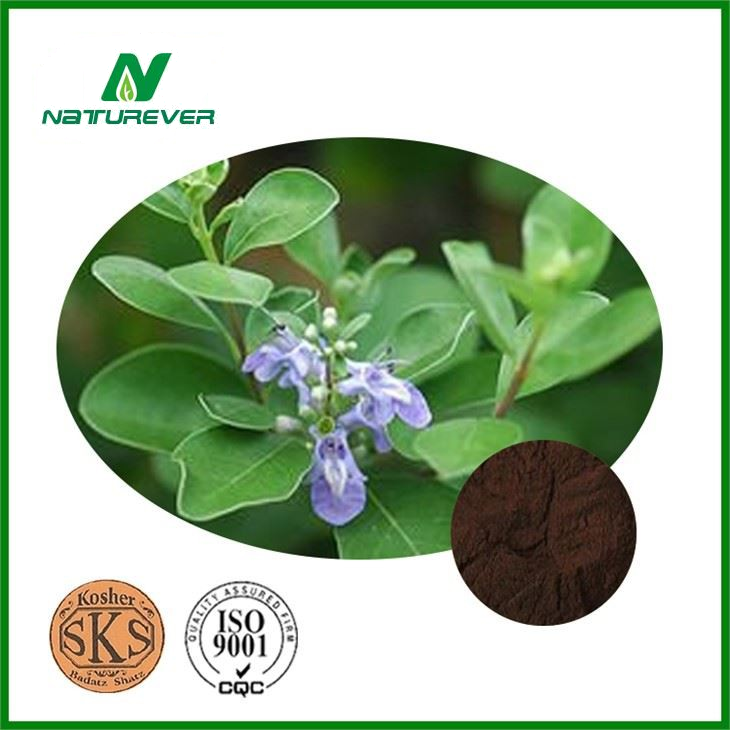 Chaste Berry Extract Powder