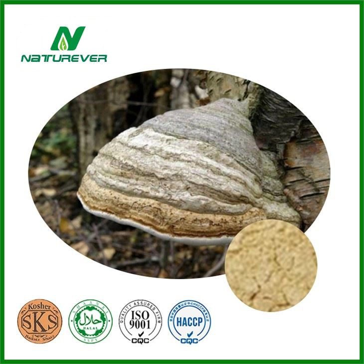 Fomes Fomentarius Extract