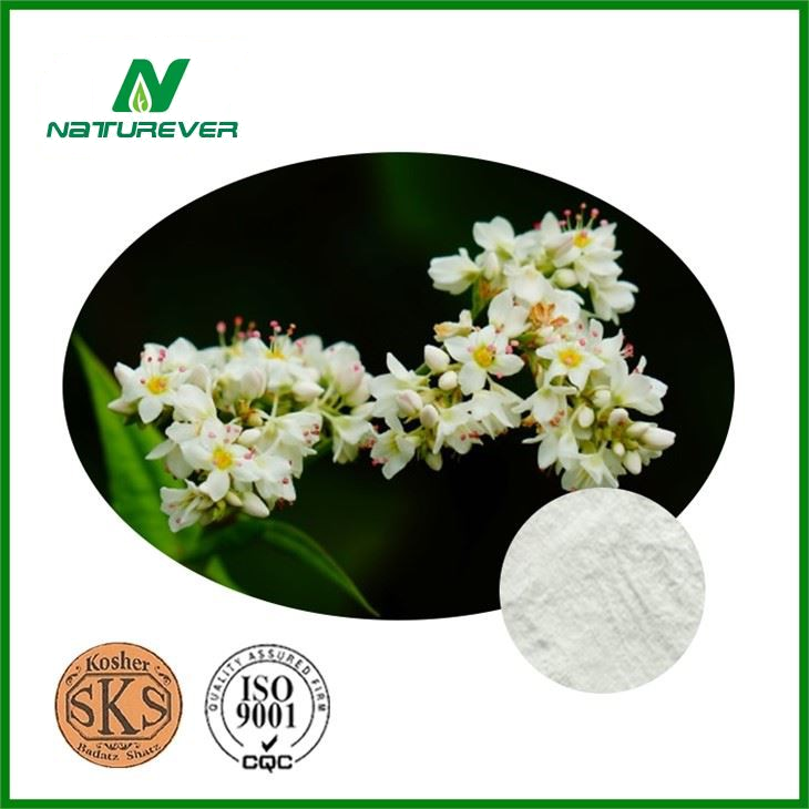 Buckwheat Seed Extract