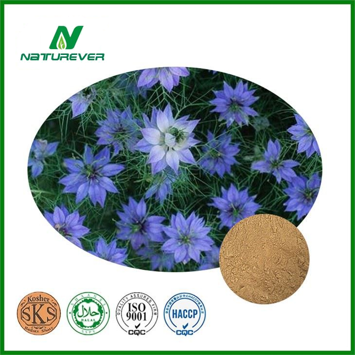 Black Cumin Seed Extract
