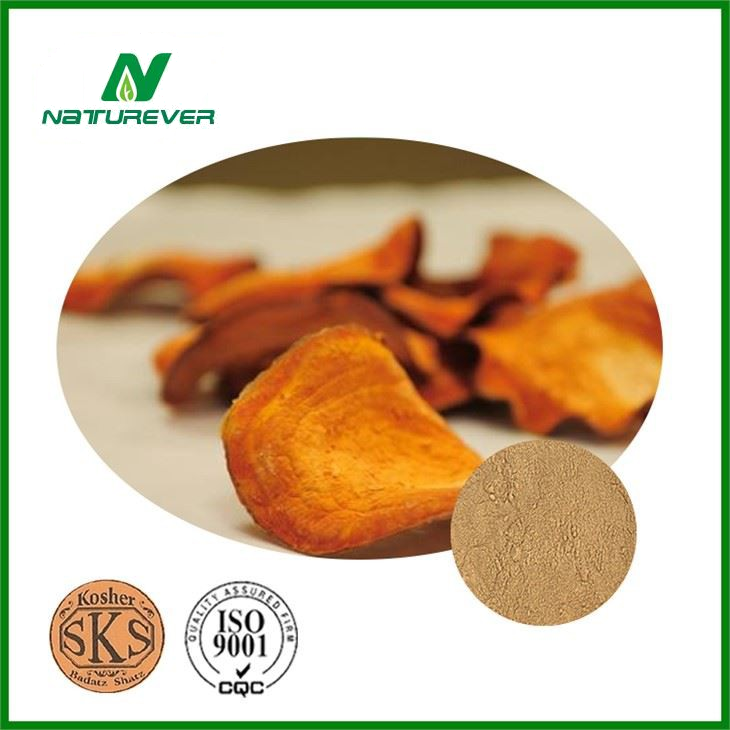 Antrodia Cinnamomea Extract