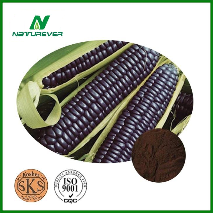 Purple Corn Extract