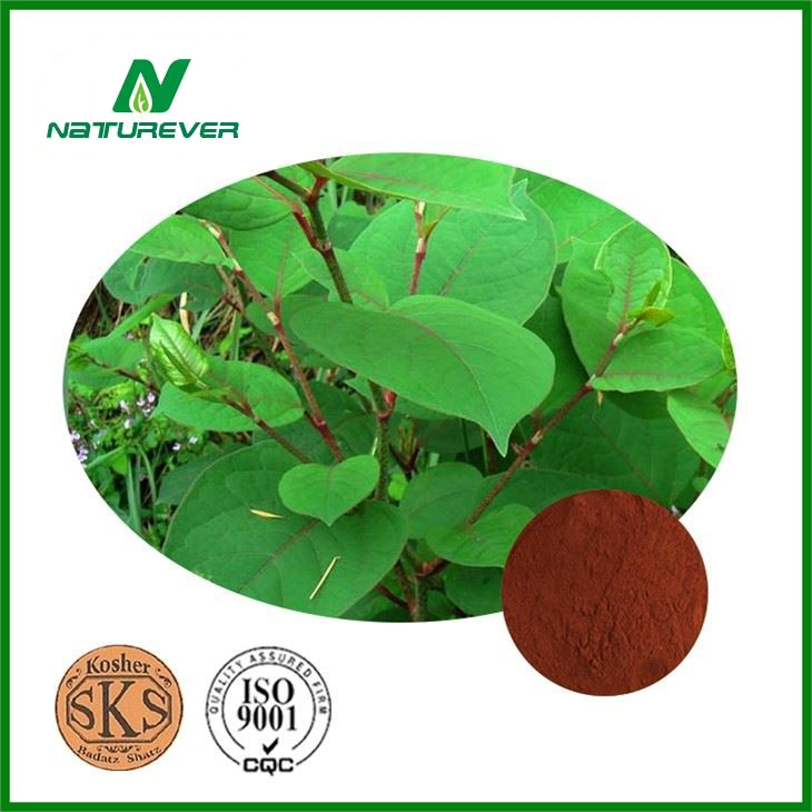 Yohimbe Bark Extract