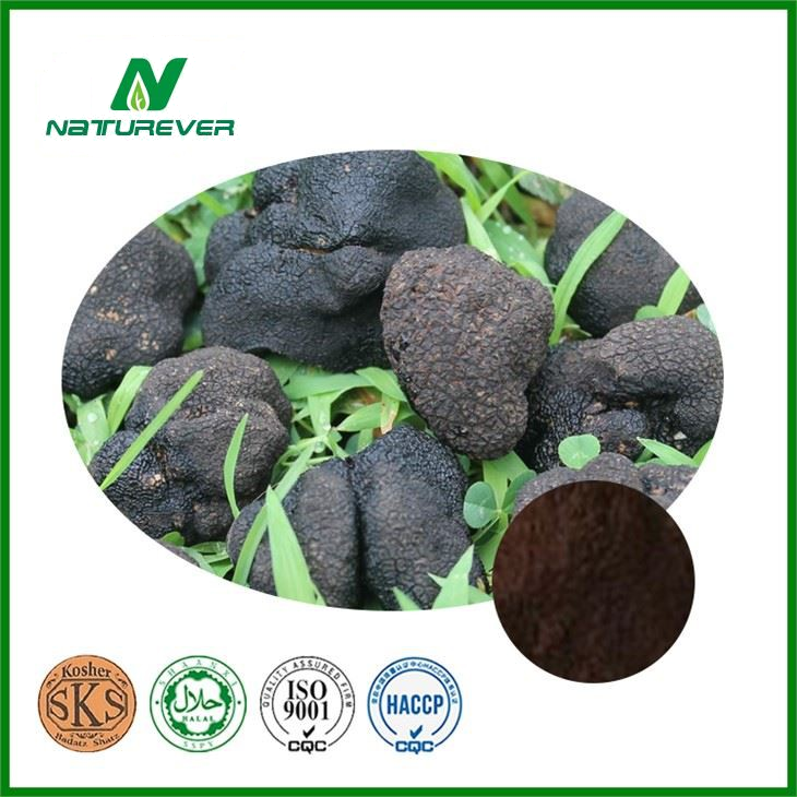 Black Truffle Extract