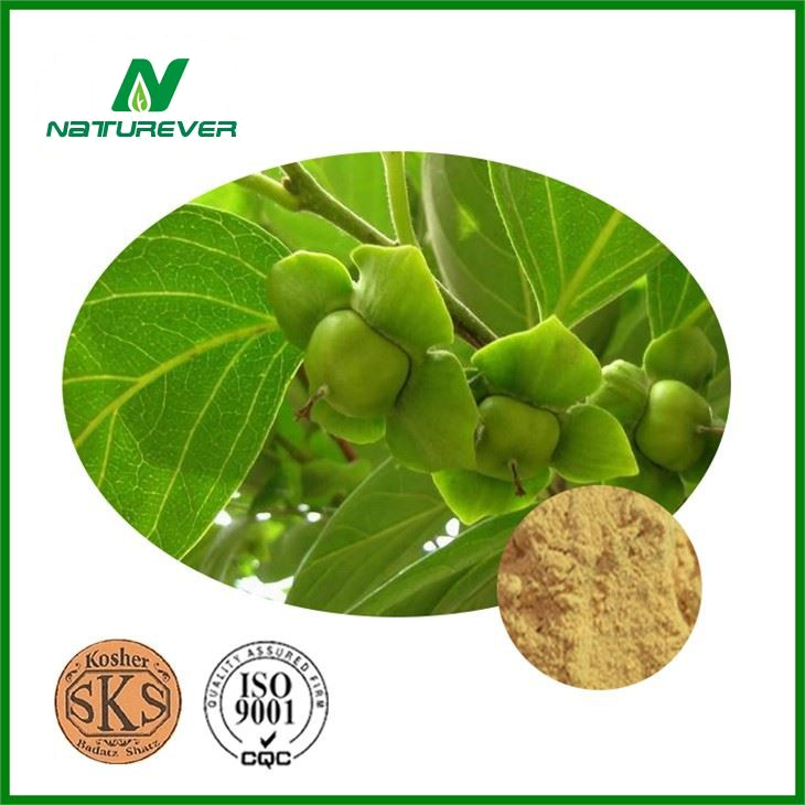 Persimmon Leaf Extract