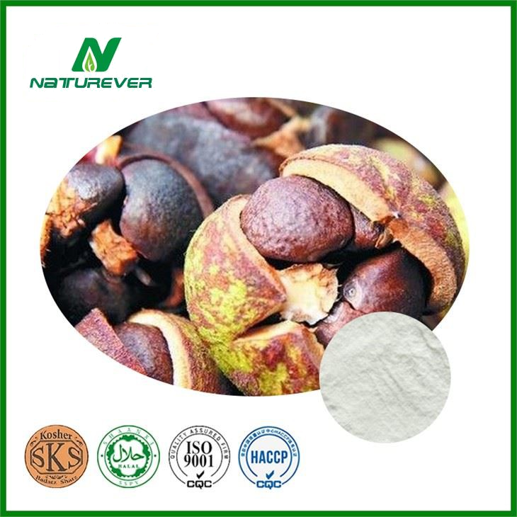Camellia Oleifera Seed Extract