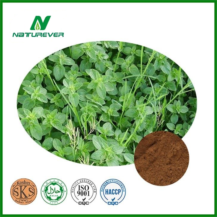 Thyme Herb Extract