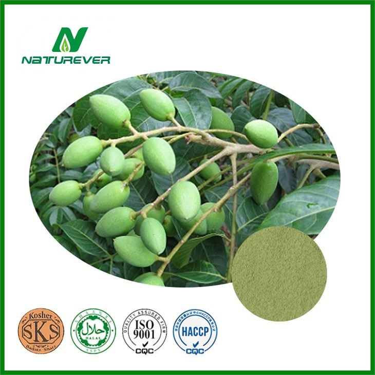 Olive Leaf Extract Powder