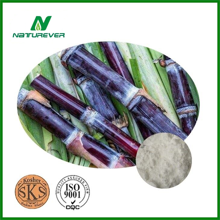 Sugarcane Wax Extract