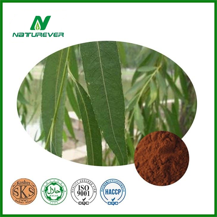 White Willow Bark Extract Powder