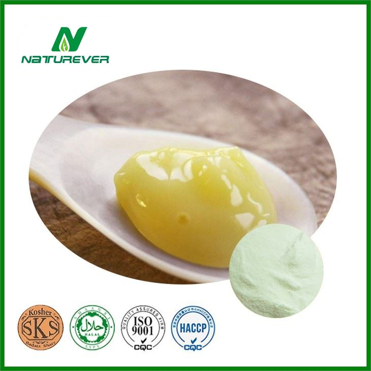 Royal Jelly Powder Supplement