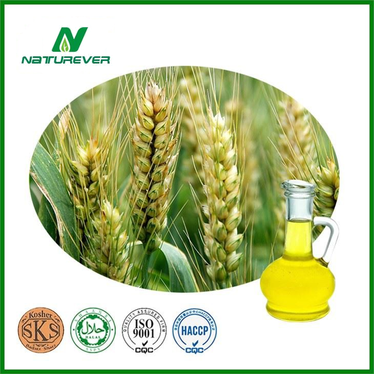 Wheat Germ Oil for cosmetic