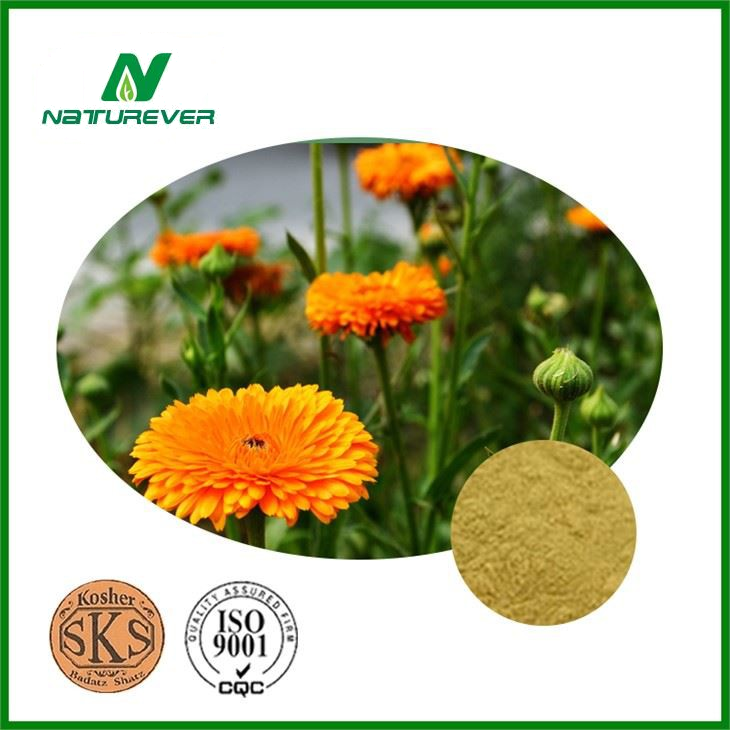 Calendula Extract Powder