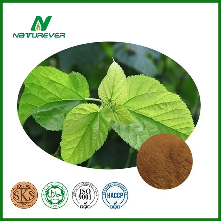 Eucommia Leaf Extract