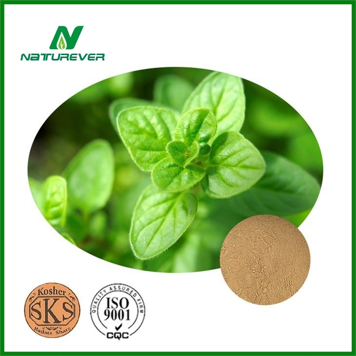 Origanum Vulgare Leaf Extract