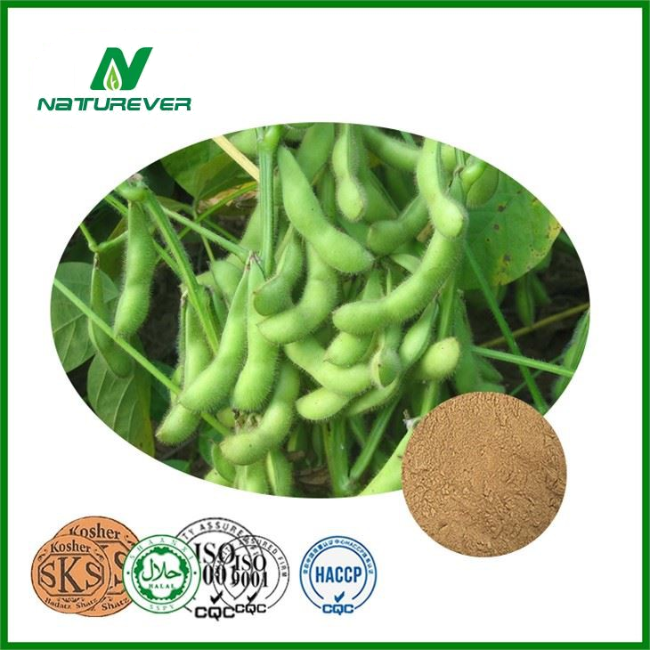 Soybean Extract Powder