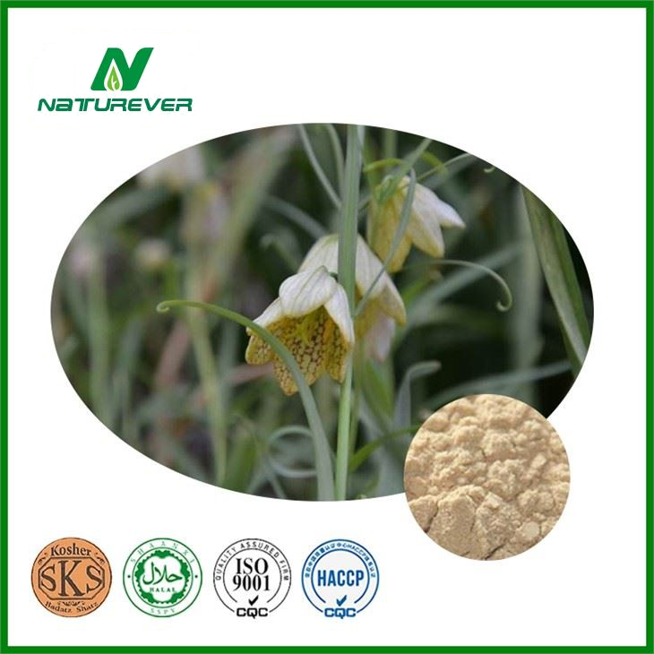 Zhejiang Fritillary Bulb Powder