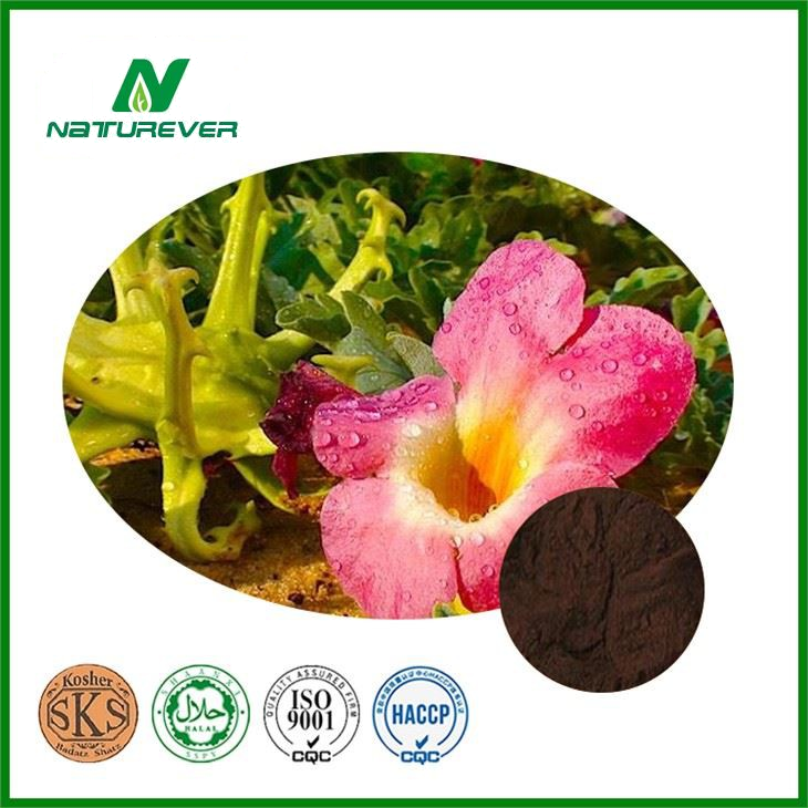 Devil's Claw Extract Powder