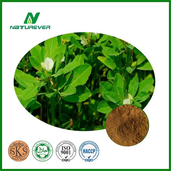 Fenugreek Seed Extract Powder