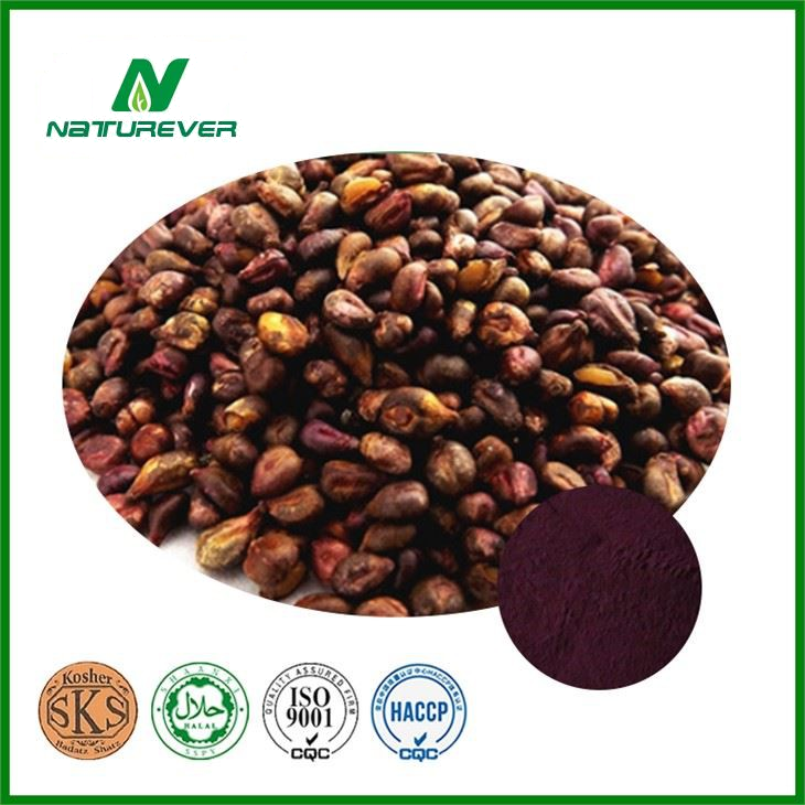 Grape Seed Extract Powder