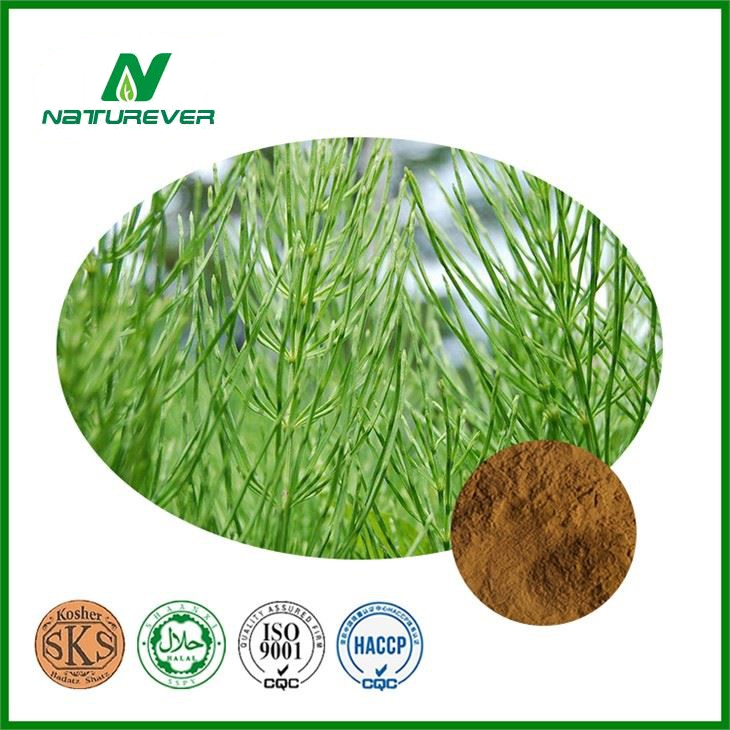Horsetail Extract Supplement