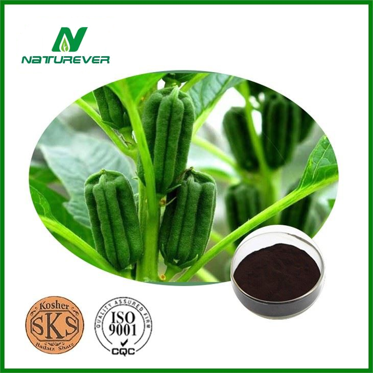 Black Sesame Extract