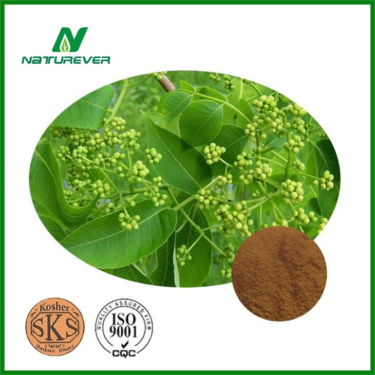 Cortex Phellodendri Extract
