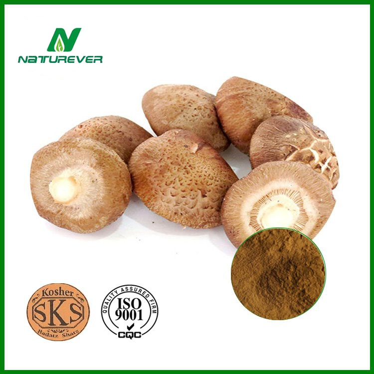 Shiitake Mushroom Extract Powder
