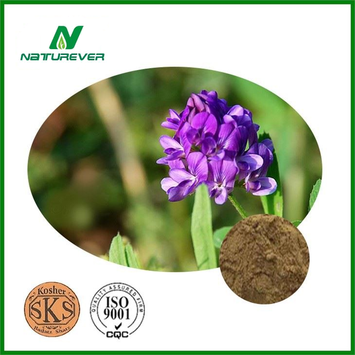 Alfalfa Leaf Extract