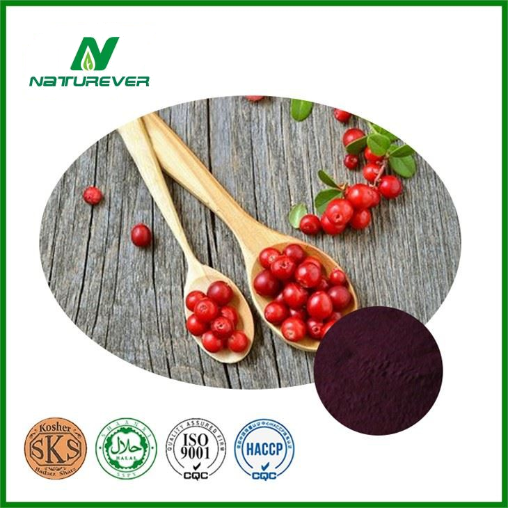 Cranberry Extract Powder