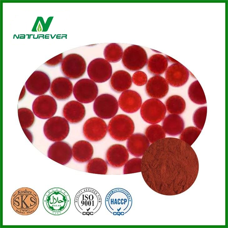 Haematococcus Pluvialis Algae Extract
