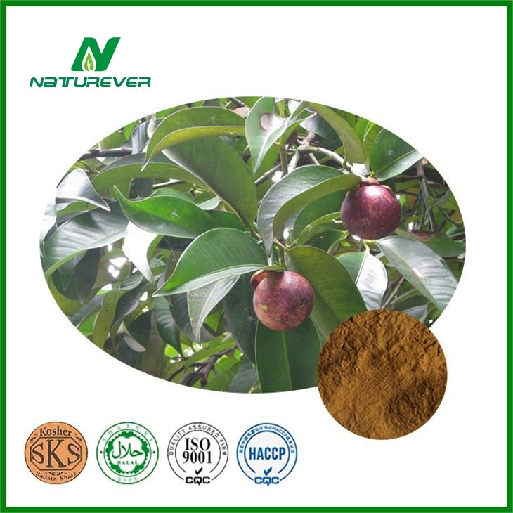 Mangosteen Extract Powder