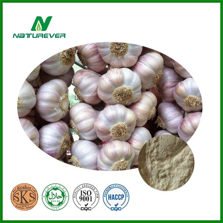 Garlic Extract Powder