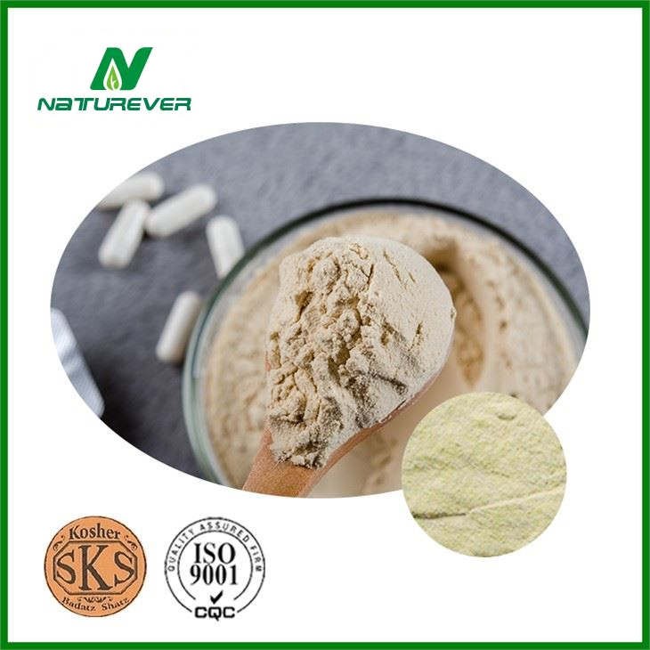 Beer Yeast Powder