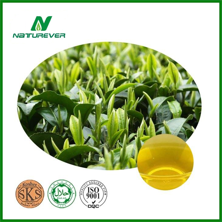 Tea Tree Oil Supplement