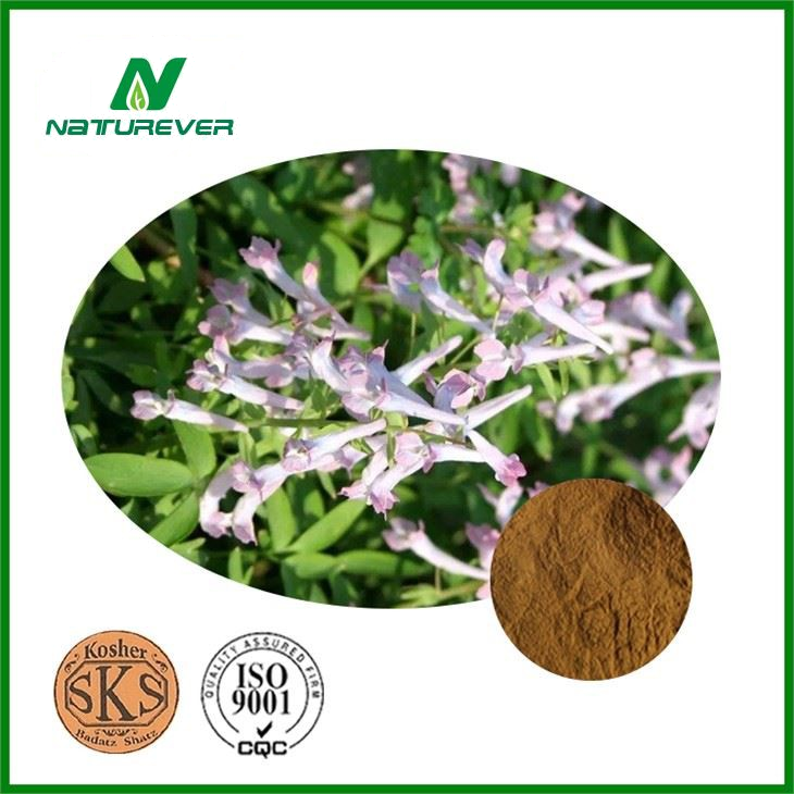 Corydalis Yanhusuo Extract