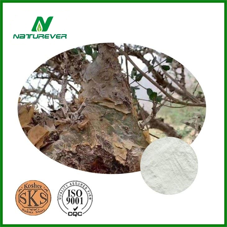Boswellia Carterii Resin Extract